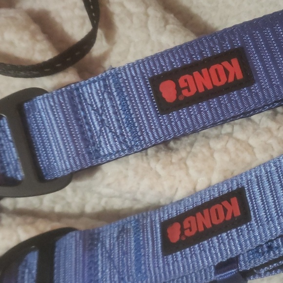 KONG COLLAR AND FLEXI DOG LEASH BRAND NEW BUNDLE PACK - Picture 4 of 4